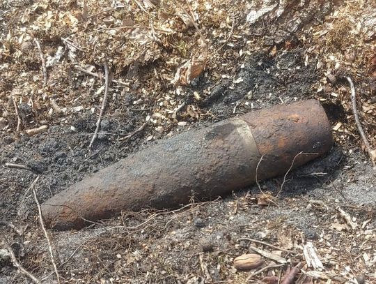 Gmina Kąkolewnica. Pocisk z II wojny światowej w lesie