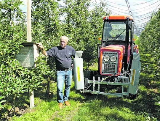 Gmina Konstantynów: Niesłusznie oskarżony o wytrucie pszczół