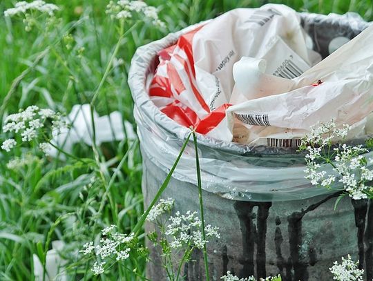 Gmina Konstantynów: Worki na terenie parku