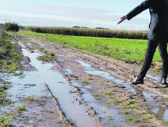 Gmina Leśna Podlaska: Mieszkańcy Kolonii Witulin razem z gminą wyrównują drogi
