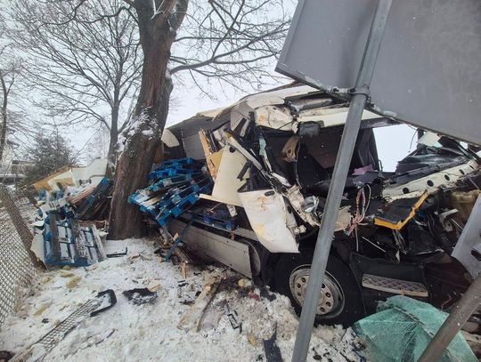 Gmina Leśna Podlaska. Wypadek w Ossówce. Ciężarówka uderzyła w drzewo