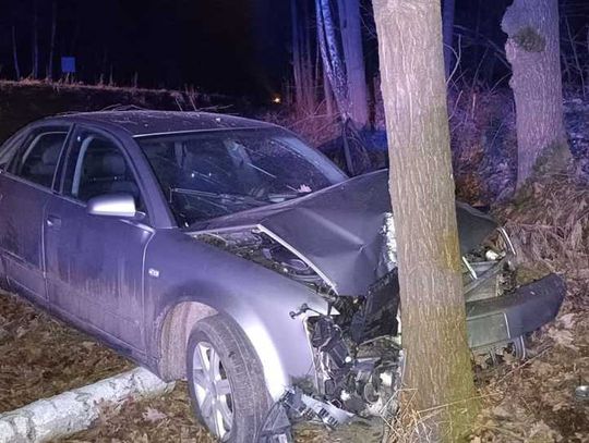 Gmina Radzyń Podlaski. Zderzenie z łosiem. 18-latka w szpitalu