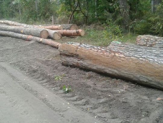 Gmina Rokitno: Droga będzie naprawiona