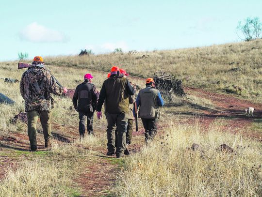Gmina Rokitno: Zmarł 64-latek postrzelony na polowaniu