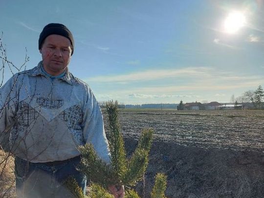 Gmina Sosnówka: Spółka wycięła mi drzewka!