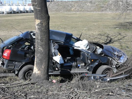 Gmina Terespol: Pijany kierowca zakończył jazdę na drzewie