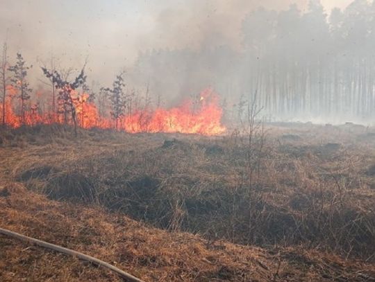 Gmina Tuczna: Spłonęły 33 ha lasu