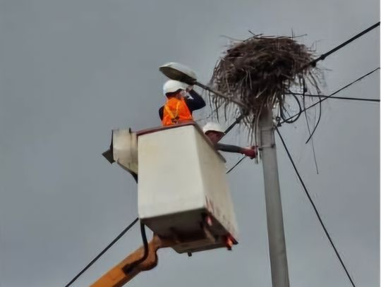 Gmina Zalesie rozbłyśnie na nowo