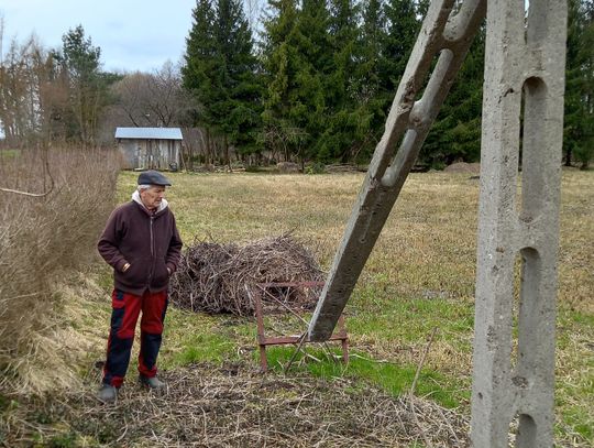 Gniazdo zniszczone, a para bocianów wraca. Jaki los czeka te ptaki?
