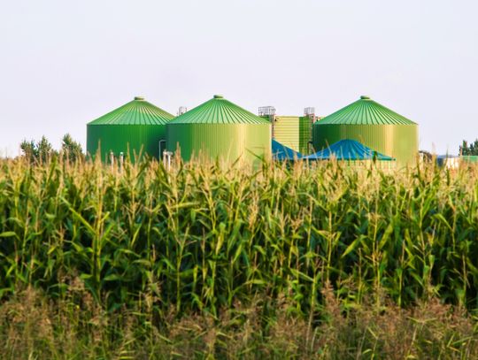 GOSPODARKA O OBIEGU ZAMKNIĘTYM W ROLNICTWIE