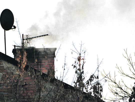 Greenpeace Polska dołącza się do apelu bialczan. "To rodzaj dydkryminacji mieszkańców!"