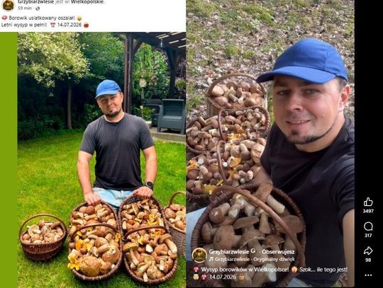 Kraj. Grzybiarz pokazał imponujący zbiór. Prawdziwy wysyp czy AI?
