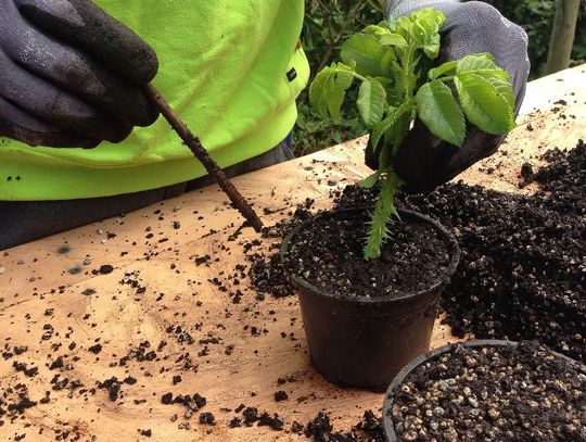 Inicjatywa dla klimatu