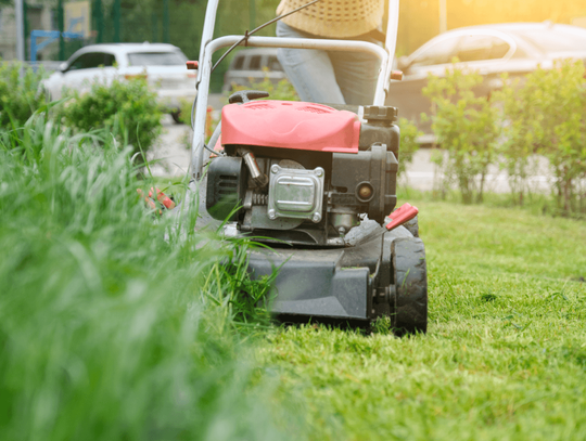 Jak dbać o trawnik? Sposoby na optymalne koszenie trawy