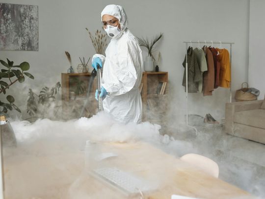 Jak pozbyć się pluskiew ze swojego domu? Specjaliści od dezynsekcji podpowiedzą!