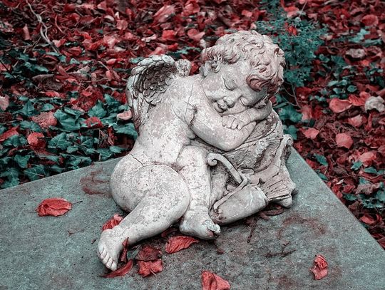 Jak prawidłowo czyścić nagrobek?