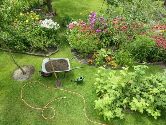 Jak przygotować ogród na sezon wiosenny?