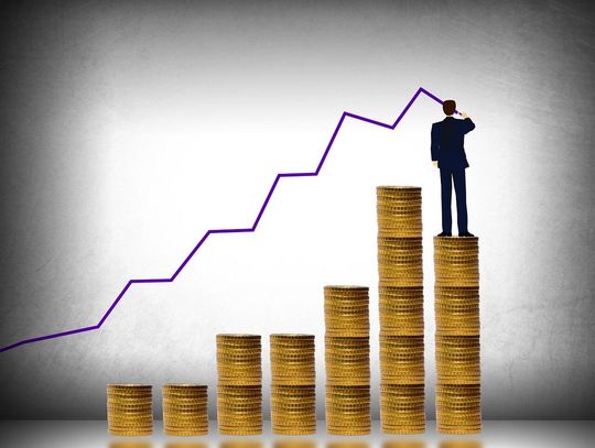 Jak samodzielnie zbudować zdywersyfikowany portfel akcyjny?