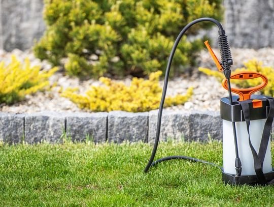 Jakie cechy opryskiwaczy ogrodowych są kluczowe dla efektywności pracy? Poradnik