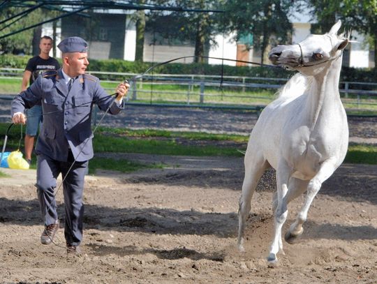 Janów Podlaski: Aukcja pod ochroną CBA