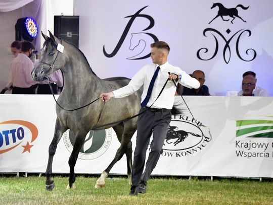 Janów Podlaski: Kadrowe problemy w stadninie