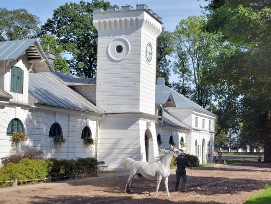 Janów Podlaski: Nie widać końca śledztwa w stadninie