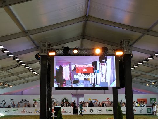 Janów Podlaski: Perfinka sprzedana za ponad milion euro