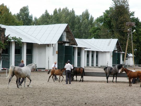 Janów Podlaski: Prokuratura przedłużyła śledztwo już po raz dwunasty