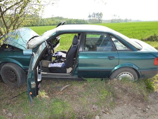 Jazdę zakończył na drzewie