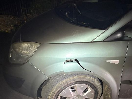 Jechał na cyku. Uszkodził krzewy na przypadkowej posesji i odjechał... rozbity samochód., Biała Podlaska listopad 2025