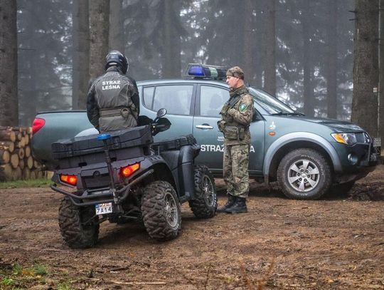 Jedziesz autem na grzyby? Uważaj, w lasach ruszają kontrole