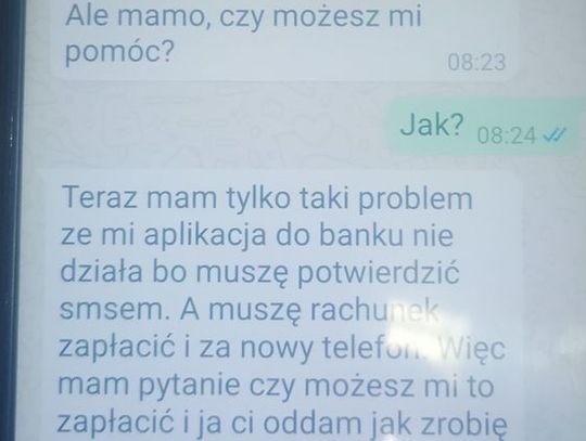 Jej telefon wpadł do toalety... przynajmniej tak myślała matka