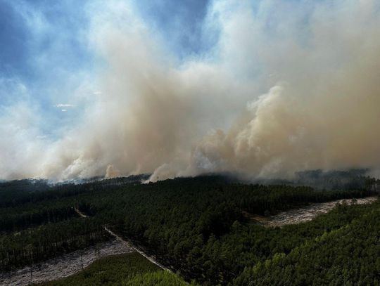 Już 500 hektarów Puszczy Solskiej w płomieniach. Dyrektor Lasów Państwowych: „Jestem przerażony”