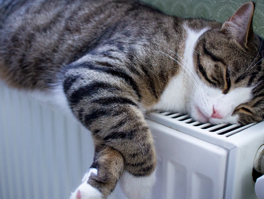 Już od dziś można składać wnioski o bon ciepłowniczy