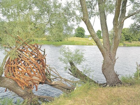 Już wkrótce festiwal "Land Art na granicy" w Sławatyczach