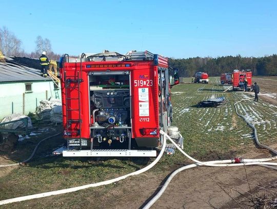 Kilkaset tysięcy strat po pożarze kurnika