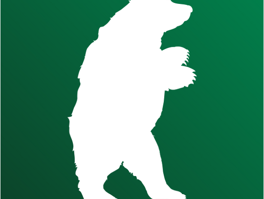 Kolejni kandydaci w plebiscycie Niedźwiedzie Biznesu