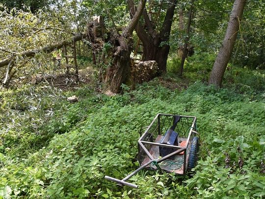 Konar spadł na 75-latka. Mężczyzna zginął na miejscu