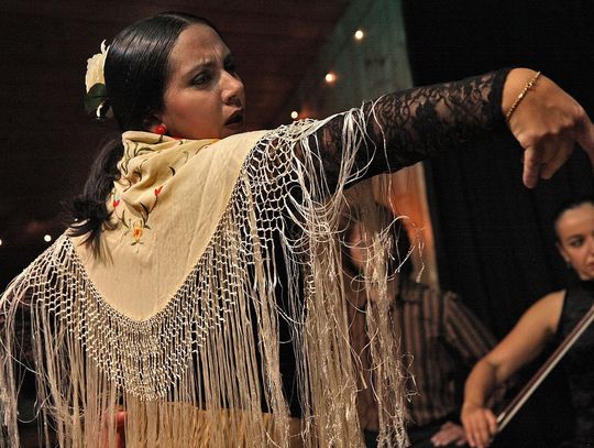 Koncert dla najmłodszych