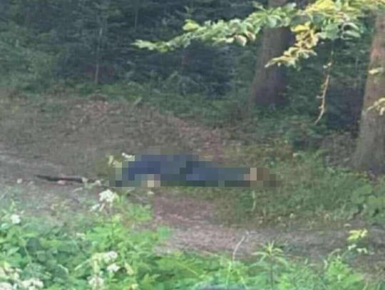 Koniec poszukiwań. Tadeusz Duda znaleziony martwy