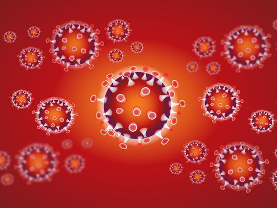 Koronawirus: Już ponad 3,5 tysiąca zakażonych