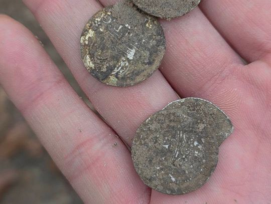 LUBELSKIE: Znaleźli srebrny skarb sprzed 400 lat!