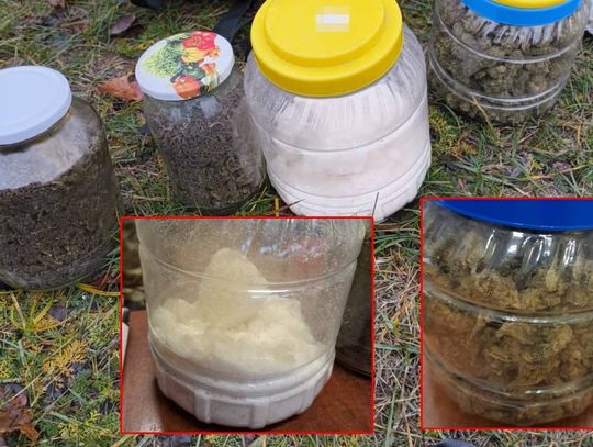 Lubelskie. Kryminalni z Włodawy przejęli prawie 1,5 kg narkotyków