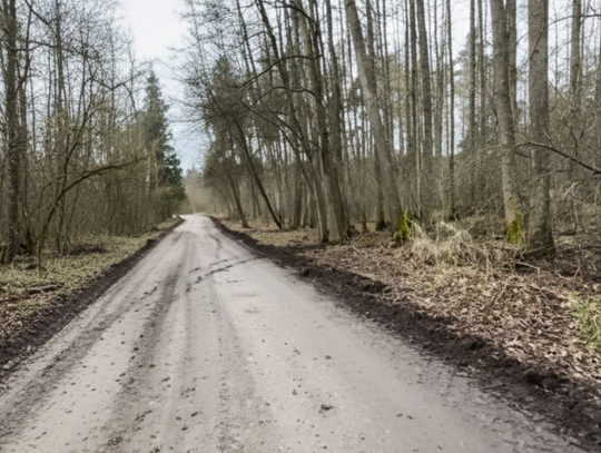 Kto zniszczył drogę? [FILM]