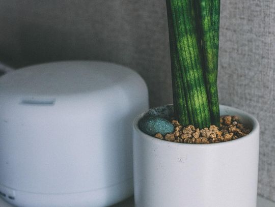 Kultowe oczyszczacze japońskiej marki 