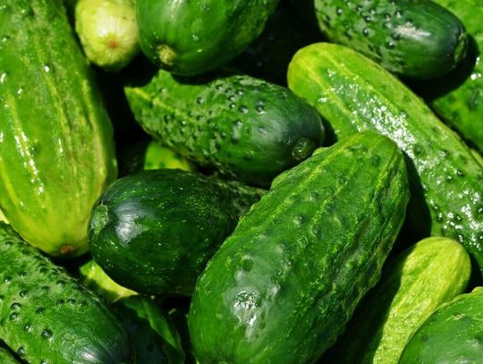 Kupują rosyjskie ogórki, bo są tańsze. Polska w nich już tonie