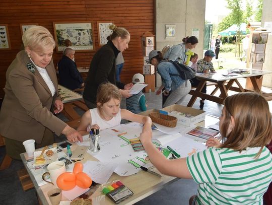 Leśna edukacja w czasie pikniku [GALERIA ZDJĘĆ]