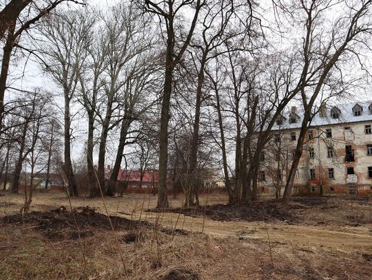 Leśniański park wpisano na listę zabytków, czas na rewitalizację