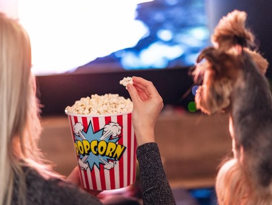 Letnie kino plenerowe