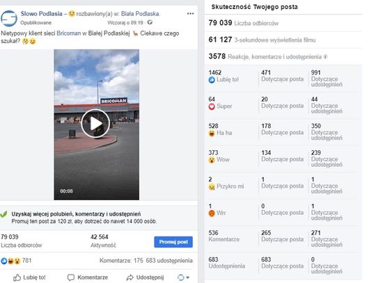 Łosia "Superktosia" obejrzało już 80 000 osób!